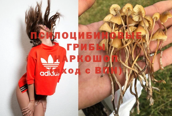 эйфоретик Баксан