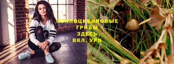 эйфоретик Баксан