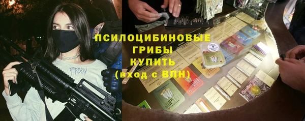 эйфоретик Баксан
