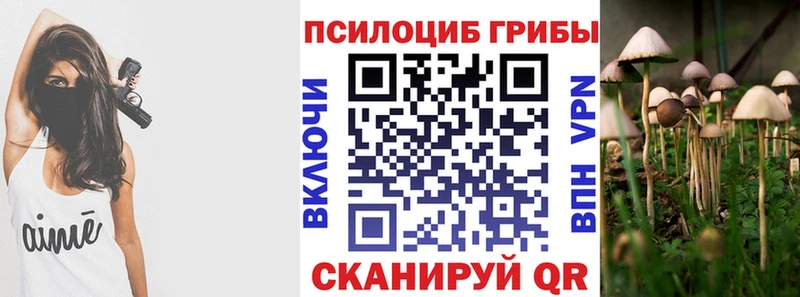 Псилоцибиновые грибы Cubensis Новое Девяткино